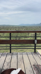 Bantu Knots & Sunnies