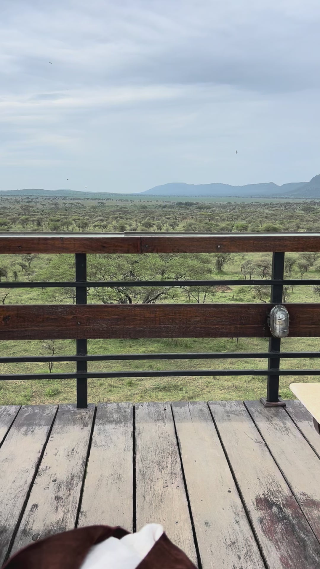 Bantu Knots & Sunnies